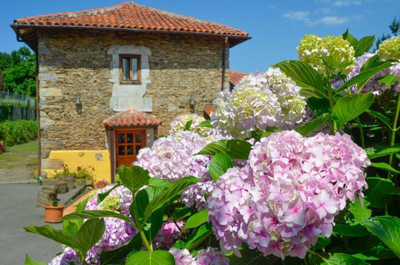 Pensjonat La Asturxana Malleza Zewnętrze zdjęcie